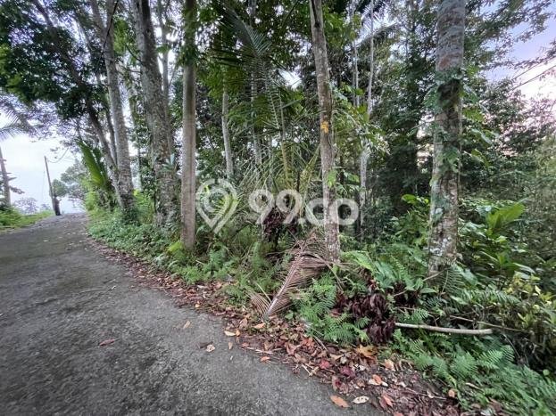 Tanah Kavling di Penebel Dijual dengan Luas 2500m2 Tanah Kavling di Penebel Dijual dengan Luas 2500m2