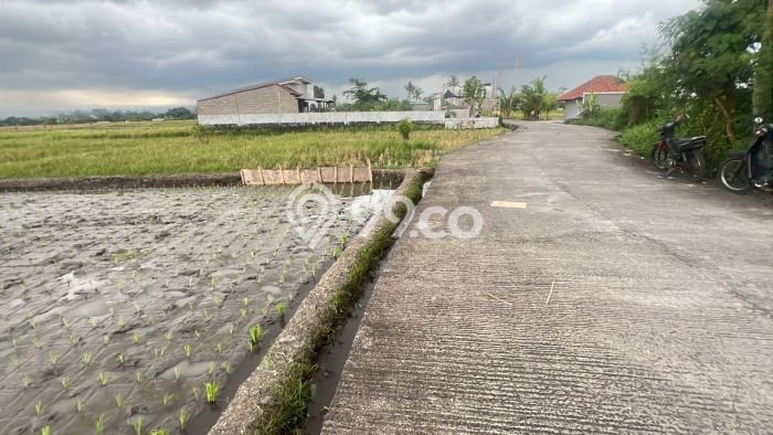 Tanah Strategis Dijual di Kerambitan Tabanan 3000m2 Tanah Strategis Dijual di Kerambitan Tabanan 3000m2
