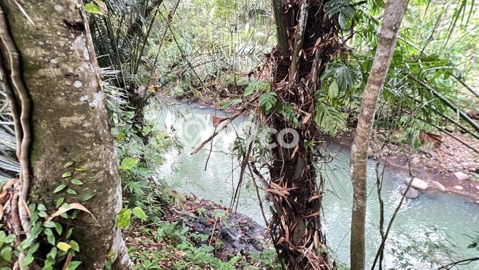 Tanah Dijual Lokasi Selemadeg, Tabanan dengan Luas Tanah 3000m2 dan Status SHM Tanah Dijual Lokasi Selemadeg, Tabanan dengan Luas Tanah 3000m2 dan Status SHM