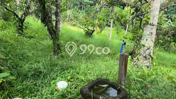 Lahan untuk Dijual di Tabanan Tabanan Luas 3000m2 Lahan untuk Dijual di Tabanan Tabanan Luas 3000m2