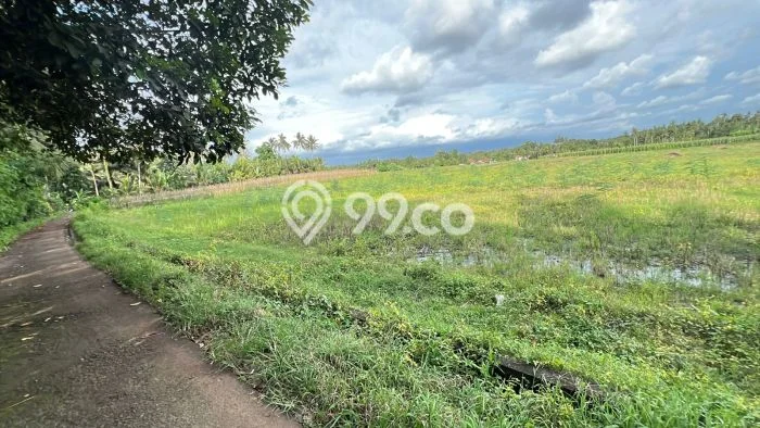 Kavling Tanah untuk Dijual di Bantas, Tabanan, Luas 5000m2 Kavling Tanah untuk Dijual di Bantas, Tabanan, Luas 5000m2
