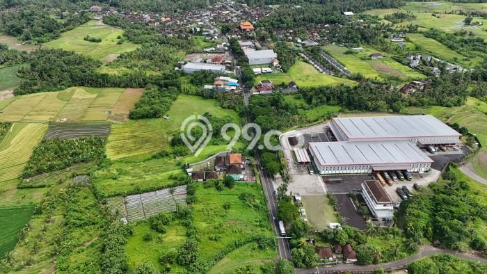 Jarang Ada! Tanah di Selemadeg Punya Luas 5735m2 SHM Jarang Ada! Tanah di Selemadeg Punya Luas 5735m2 SHM