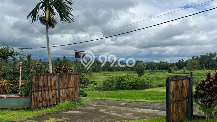 Lahan Kosong Dijual di Tabanan dengan Area 2500m2 Lahan Kosong Dijual di Tabanan dengan Area 2500m2