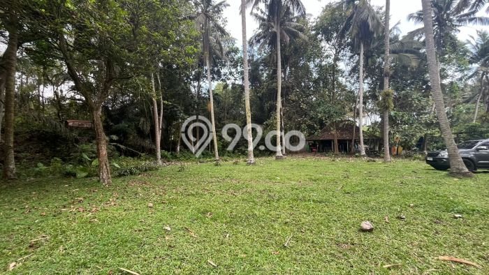 Kavling Tanah untuk Dijual di Lalanglinggah, Tabanan, Luas 1950m2 Kavling Tanah untuk Dijual di Lalanglinggah, Tabanan, Luas 1950m2