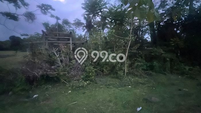 Tanah Strategis Dijual di Selemadeg Tabanan 16800m2 Tanah Strategis Dijual di Selemadeg Tabanan 16800m2
