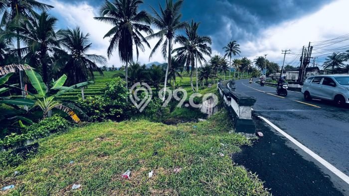 Lahan untuk Dijual Lokasi Selemadeg, Tabanan Luas 3000m2 SHM Lahan untuk Dijual Lokasi Selemadeg, Tabanan Luas 3000m2 SHM