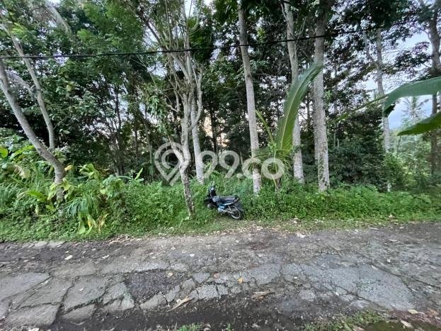 Tanah Kavling di Penebel Dijual dengan Luas 2500m2 Tanah Kavling di Penebel Dijual dengan Luas 2500m2