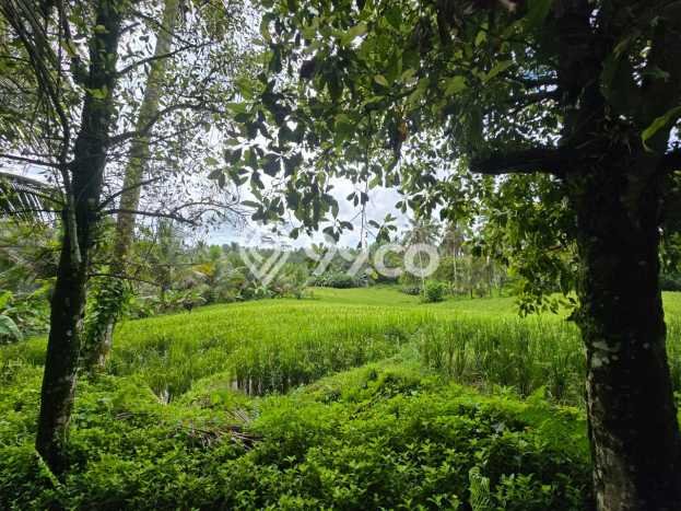 Tanah di Selemadeg, Tabanan Luas 1700m2 Dijual Segera Tanah di Selemadeg, Tabanan Luas 1700m2 Dijual Segera