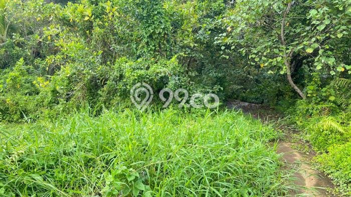 Tanah Dijual Lokasi Selemadeg, Tabanan dengan Luas Tanah 3000m2 dan Status SHM Tanah Dijual Lokasi Selemadeg, Tabanan dengan Luas Tanah 3000m2 dan Status SHM