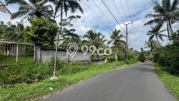 Lahan Dijual Lokasi Penebel, Tabanan dengan Luas Tanah 10500m2 dan Status SHM Lahan Dijual Lokasi Penebel, Tabanan dengan Luas Tanah 10500m2 dan Status SHM