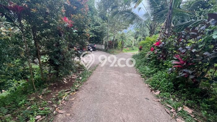 Tanah Kavling Dijual di Belimbing, Tabanan dengan Luas Tanah 900m2 Tanah Kavling Dijual di Belimbing, Tabanan dengan Luas Tanah 900m2