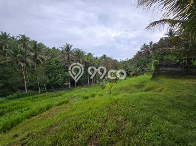 Kavling Tanah di Selemadeg Dijual Luas 2550m2 Legalitas SHM Kavling Tanah di Selemadeg Dijual Luas 2550m2 Legalitas SHM