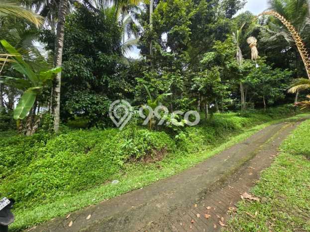 Tanah di Selemadeg, Tabanan Luas 1700m2 Dijual Segera Tanah di Selemadeg, Tabanan Luas 1700m2 Dijual Segera