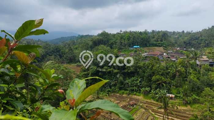 Kavling Tanah di Pupuan Dijual Luas 4980m2 Legalitas SHM Kavling Tanah di Pupuan Dijual Luas 4980m2 Legalitas SHM