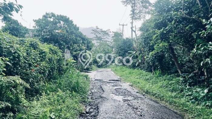Tanah Kavling Dijual di Jatiluwih, Tabanan dengan Luas Tanah 1700m2 Tanah Kavling Dijual di Jatiluwih, Tabanan dengan Luas Tanah 1700m2
