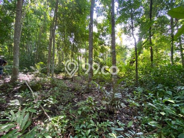 Tanah Dijual Lokasi Selemadeg, Tabanan Luas 3300m2 Legalitas Aman Tanah Dijual Lokasi Selemadeg, Tabanan Luas 3300m2 Legalitas Aman