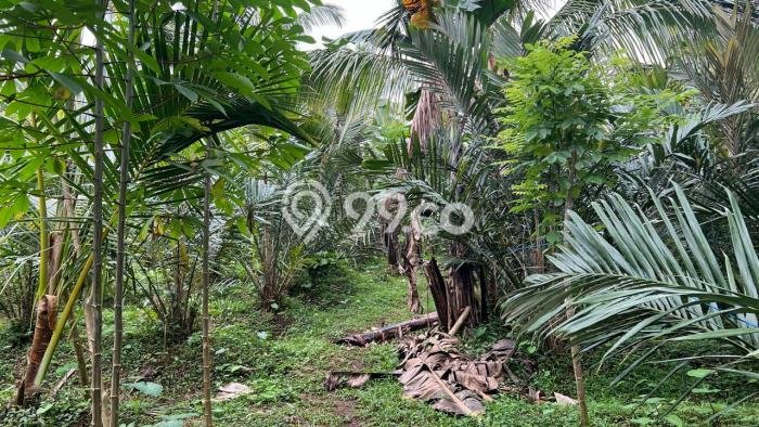 Lahan Dijual Lokasi Selemadeg, Tabanan dengan Luas Tanah 10m2 dan Status SHM Lahan Dijual Lokasi Selemadeg, Tabanan dengan Luas Tanah 10m2 dan Status SHM