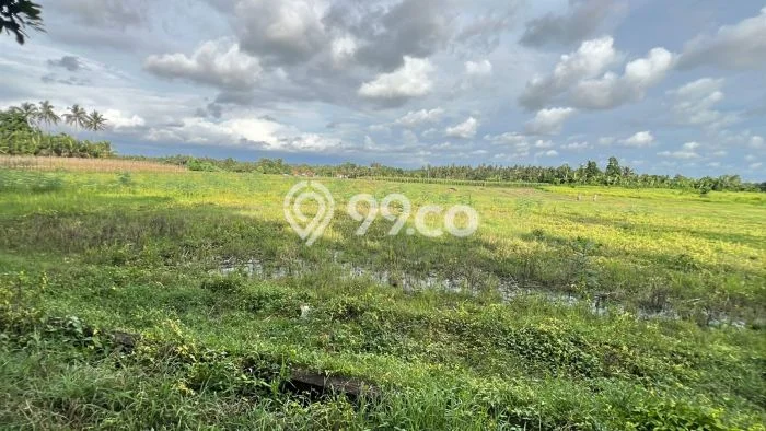 Kavling Tanah untuk Dijual di Bantas, Tabanan, Luas 5000m2 Kavling Tanah untuk Dijual di Bantas, Tabanan, Luas 5000m2