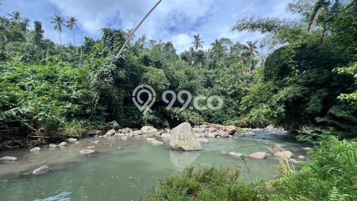 Lahan Dijual Lokasi Penebel, Tabanan dengan Luas Tanah 10500m2 dan Status SHM Lahan Dijual Lokasi Penebel, Tabanan dengan Luas Tanah 10500m2 dan Status SHM