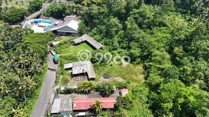 Untuk Dijual Tanah di Kerambitan Tabanan Luas 540m2 SHM Untuk Dijual Tanah di Kerambitan Tabanan Luas 540m2 SHM