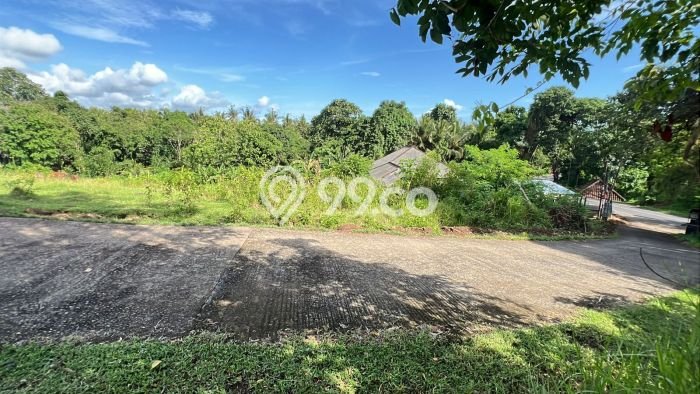 Tanah Kavling Dijual di Lalanglinggah, Tabanan dengan Luas Tanah 10205m2 Tanah Kavling Dijual di Lalanglinggah, Tabanan dengan Luas Tanah 10205m2