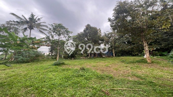 Tanah Kavling di Penebel Dijual dengan Luas 3400m2 Tanah Kavling di Penebel Dijual dengan Luas 3400m2