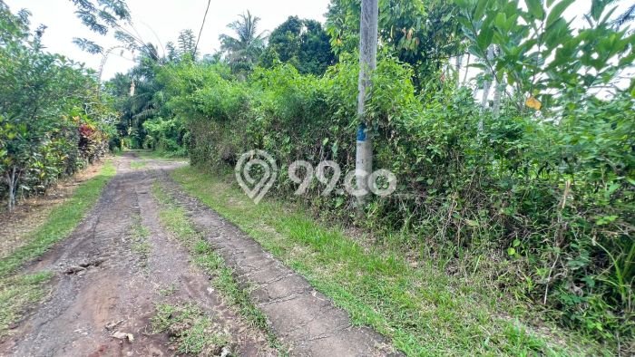 Tanah Kavling Dijual di Bantas, Tabanan dengan Luas Tanah 7100m2 Tanah Kavling Dijual di Bantas, Tabanan dengan Luas Tanah 7100m2