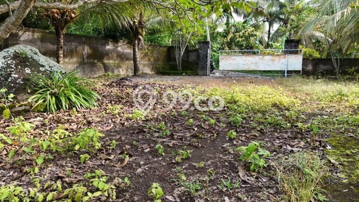 Tanah Kavling untuk Dijual di Selemadeg Tabanan 3740m2 Tanah Kavling untuk Dijual di Selemadeg Tabanan 3740m2
