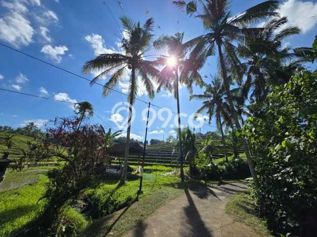 Lahan untuk Dijual Lokasi Selemadeg, Tabanan Luas 4225m2 SHM Lahan untuk Dijual Lokasi Selemadeg, Tabanan Luas 4225m2 SHM