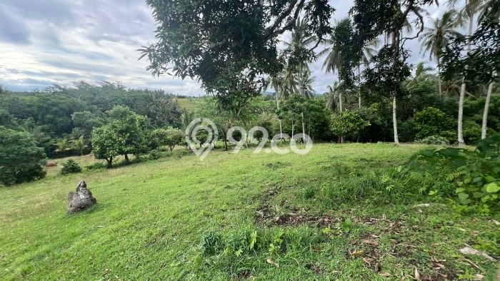 Tanah Kavling untuk Dijual di Selemadeg Tabanan 25000m2 Tanah Kavling untuk Dijual di Selemadeg Tabanan 25000m2