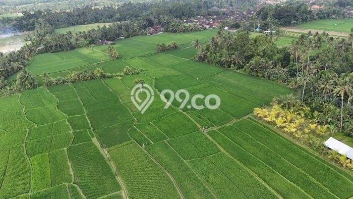 Tanah Kavling Dijual di Tabanan dengan Spesifikasi 1250m2 Tanah Kavling Dijual di Tabanan dengan Spesifikasi 1250m2