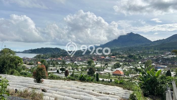 Jual Tanah Area Prospektif Kawasan Baturiti, Luas 5100m2m², Dekat Baturiti, Tabanan, Tabanan Jual Tanah Area Prospektif Kawasan Baturiti, Luas 5100m2m², Dekat Baturiti, Tabanan, Tabanan