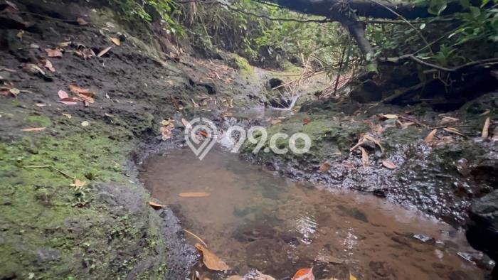 Tanah Dijual Lokasi Penebel, Tabanan dengan Luas Tanah 2000m2 dan Status SHM Tanah Dijual Lokasi Penebel, Tabanan dengan Luas Tanah 2000m2 dan Status SHM