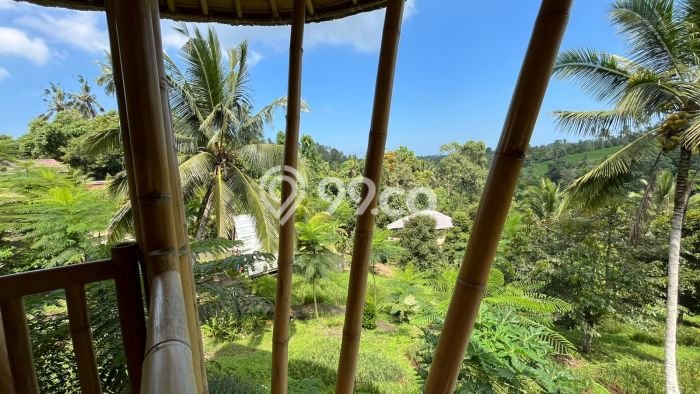 Kavling Tanah di Selemadeg Dijual Luas 14000m2 Legalitas SHM Kavling Tanah di Selemadeg Dijual Luas 14000m2 Legalitas SHM