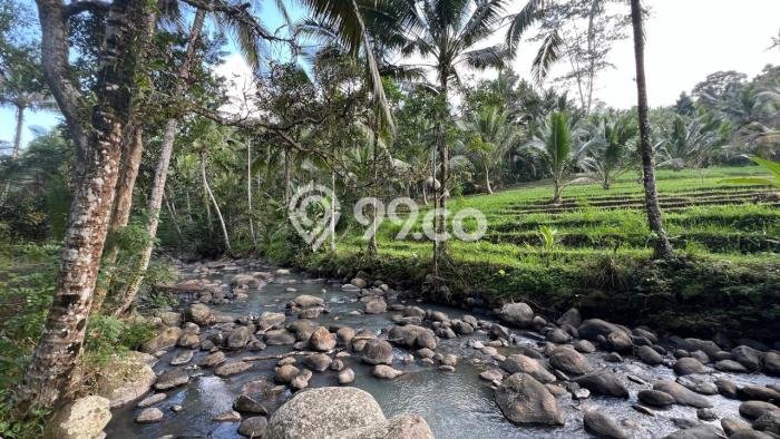 Tanah Dijual Lokasi Selemadeg, Tabanan dengan Luas Tanah 960m2 dan Status SHM Tanah Dijual Lokasi Selemadeg, Tabanan dengan Luas Tanah 960m2 dan Status SHM