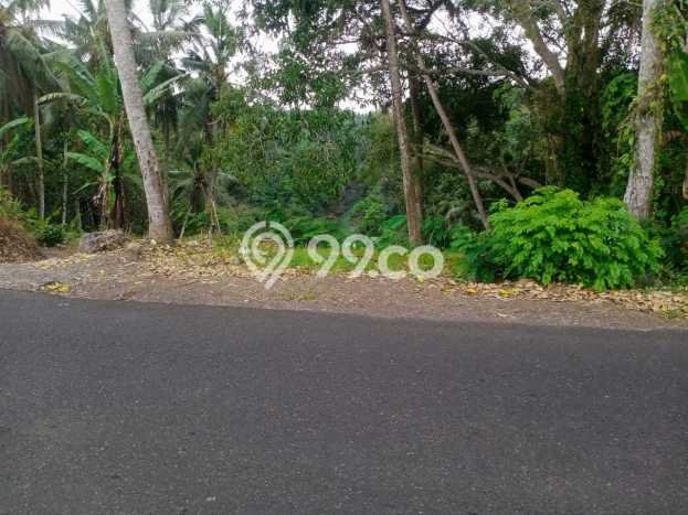 Dijual Tanah di Selemadeg Tabanan Luas 2600m2 SHM Dijual Tanah di Selemadeg Tabanan Luas 2600m2 SHM