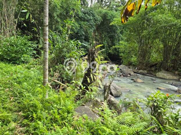 Kavling Tanah di Selemadeg Dijual Luas 500m2 Legalitas SHM Kavling Tanah di Selemadeg Dijual Luas 500m2 Legalitas SHM