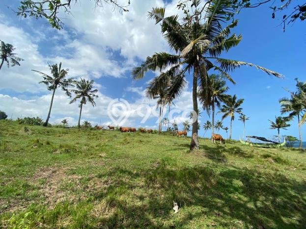 Kavling Tanah untuk Dijual di Lalanglinggah, Tabanan, Luas 16350m2 Kavling Tanah untuk Dijual di Lalanglinggah, Tabanan, Luas 16350m2