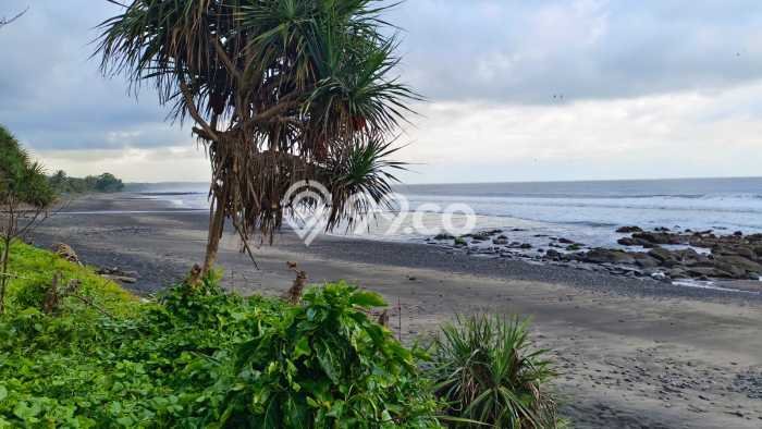 Lahan untuk Dijual Lokasi Selemadeg, Tabanan Luas 3000m2 SHM Lahan untuk Dijual Lokasi Selemadeg, Tabanan Luas 3000m2 SHM