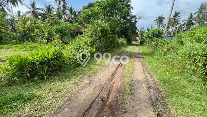 Tanah Kavling Dijual di Bantas, Tabanan dengan Luas Tanah 7100m2 Tanah Kavling Dijual di Bantas, Tabanan dengan Luas Tanah 7100m2