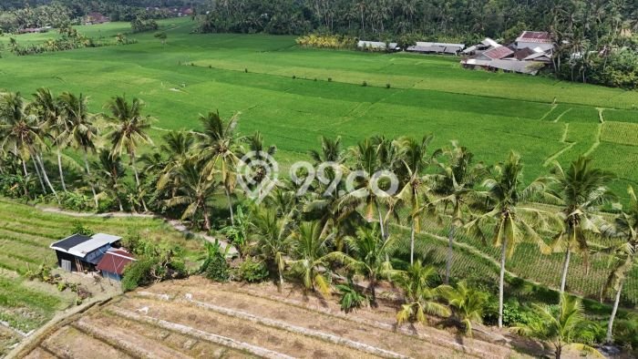 Tanah Kavling Dijual di Tabanan dengan Spesifikasi 1250m2 Tanah Kavling Dijual di Tabanan dengan Spesifikasi 1250m2