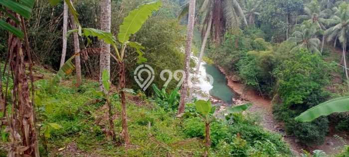 Dijual Tanah di Selemadeg Tabanan Luas 2600m2 SHM Dijual Tanah di Selemadeg Tabanan Luas 2600m2 SHM