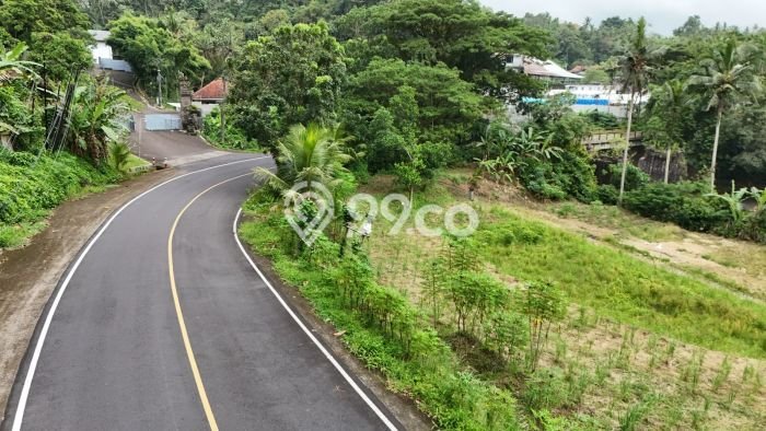 Tanah untuk Dijual Lokasi Selemadeg, Tabanan Luas 3000m2 SHM Tanah untuk Dijual Lokasi Selemadeg, Tabanan Luas 3000m2 SHM