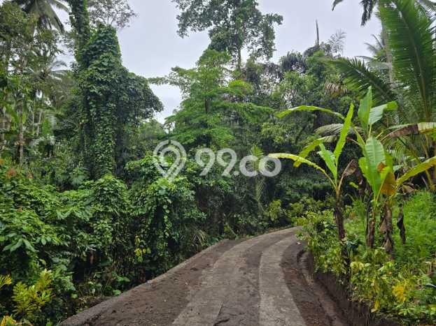 Tanah untuk Dijual Lokasi Selemadeg, Tabanan Luas 12000m2 SHM Tanah untuk Dijual Lokasi Selemadeg, Tabanan Luas 12000m2 SHM