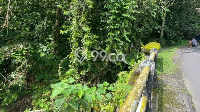 Tanah Dijual Lokasi Penebel, Tabanan dengan Luas Tanah 1125m2 dan Status SHM Tanah Dijual Lokasi Penebel, Tabanan dengan Luas Tanah 1125m2 dan Status SHM