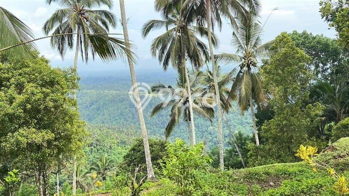 Dijual Tanah 1600m2 di Lumbung Kauh, Tabanan Dijual Tanah 1600m2 di Lumbung Kauh, Tabanan