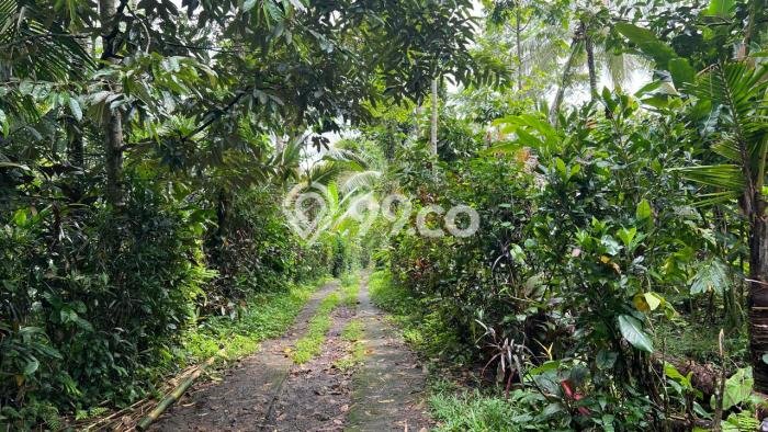 Lahan untuk Dijual Lokasi Penebel, Tabanan Luas 4500m2 SHM Lahan untuk Dijual Lokasi Penebel, Tabanan Luas 4500m2 SHM