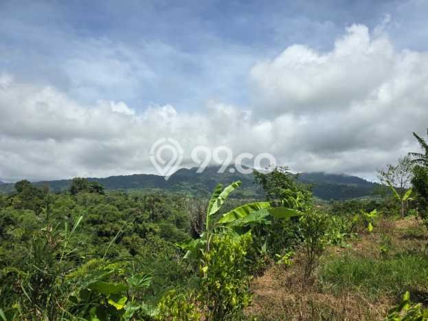 Tanah Dijual Lokasi Petang Badung SHM Tanah Dijual Lokasi Petang Badung SHM