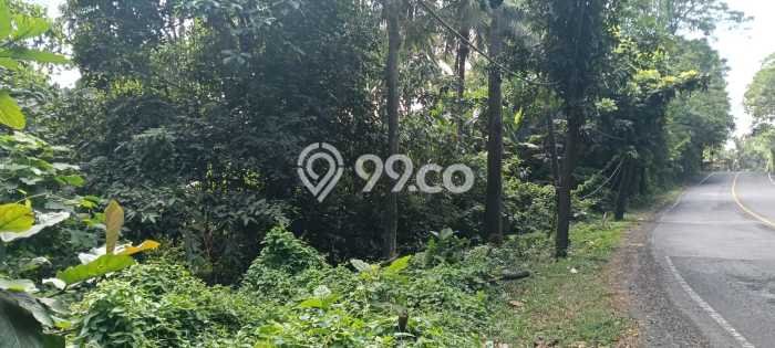 Tanah Dijual Area Strategis di Antap Tabanan 12000m2 Tanah Dijual Area Strategis di Antap Tabanan 12000m2