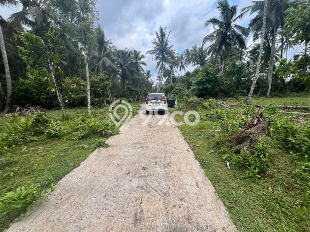 Tanah Strategis Dijual di Selemadeg Tabanan 4800m2 Tanah Strategis Dijual di Selemadeg Tabanan 4800m2
